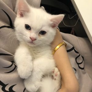 Meet your Posher, Nina